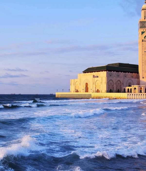 Mosque hassan 2